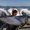 Photo of Jason J.