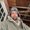 Photo of Eric E.