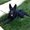 Photo of Lish R.