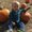 Photo of Lisa N.