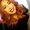 Photo of Arlene C.