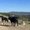 Photo of Nacimiento R.