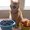 Photo of Yelena A.