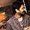 Photo of Romil S.