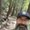 Photo of Brandon M.