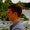 Photo of Caleb L.