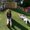 Photo of Ratnesh S.