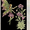 Photo of Qype User (reduni…)