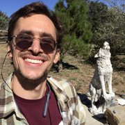 google avatar