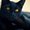 Photo of Pretorian -.