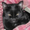 Photo of Cass B.