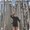 Photo of Tiffany L.