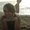 Photo of Lexy B.