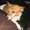 Photo of Qype User (jaynea…)