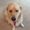 Photo of Penny G.