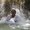 Photo of Alesha M.