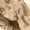 Photo of Sharain A.