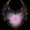 Photo of Ambrielle S.