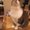 Photo of Cat M.