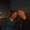 Photo of Bjoern And C.