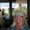 Photo of Elaine B.