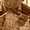 Photo of Vin P.