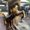 Photo of Magui S.