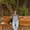 Photo of Haileigh P.