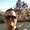 Photo of Ryan J.