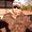 Photo of Rich D.