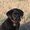 Photo of Tabitha S.