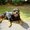 Photo of Qype User (Happ…)