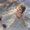 Photo of Qype User (leeraj…)