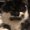 Photo of Paris R.