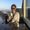 Photo of Christina R.