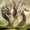 Photo of Hydra H.