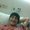 Photo of Sam S.