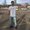 Photo of Ibro S.