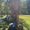 Photo of Cristyna G.