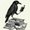 Photo of Raven W.