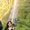 Photo of Rohini P.