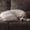 Photo of Penny M.