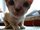 Photo of Qype User (Rolf60…)