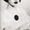 Photo of Lola P.