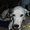 Photo of Maxie F.