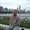 Photo of Dave S.