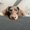 Photo of Nichole H.