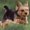 Photo of Cookie P.