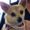Photo of Lovey H.
