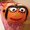 Photo of Noga B.